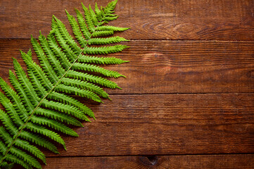 Naklejka premium green fern leaf lies on brown wooden background
