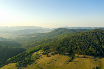 Obraz premium Beautiful landscape coniferous forest on the peaks of the Rhodope Mountains, Bulgaria. Travel and vacation concept.