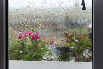 Drops of rain on glass, rain drops on clear window with shutters. Spray on the window. Bokeh of flowerpots with bright red flowers behind glass with drops of water. Rainy weather