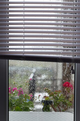 Drops of rain on glass, rain drops on clear window with shutters. Spray on the window. Bokeh of flowerpots with bright red flowers behind glass with drops of water. Rainy weather