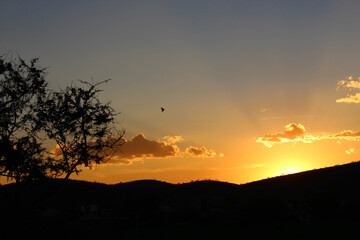 atardecer en contraste con colores dorados, montañas, aves y árboles