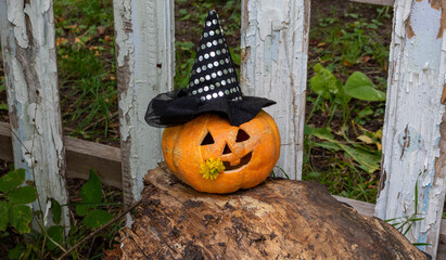 A cheerful pumpkin in a Witch's hat is sitting on a stump near the fence.The Concept Of Halloween