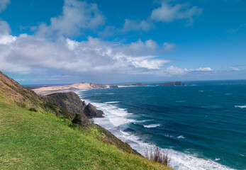 New Zealand beach - Cape Reinga