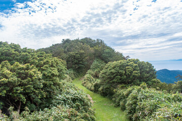 【静岡県伊豆半島】秋の高原風景【伊豆山稜線歩道・だるま山周辺】
