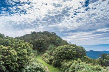 【静岡県伊豆半島】秋の高原風景【伊豆山稜線歩道・だるま山周辺】