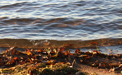 Splashes at Sunset
