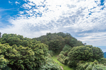 【静岡県伊豆半島】秋の高原風景【伊豆山稜線歩道・だるま山周辺】