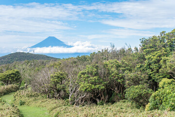 【静岡県伊豆半島】秋の高原風景【伊豆山稜線歩道・富士山】
