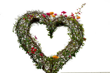 The bougainvillea flowers heart - shaped