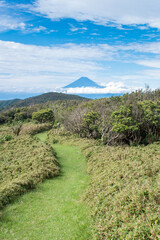 【静岡県伊豆半島】秋の高原風景【伊豆山稜線歩道・富士山】