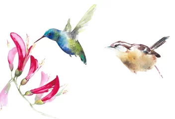 Fototapete Kolibri Vögel setzen Aquarellillustration isoliert auf weißem Hintergrund Kolibri Zaunkönig lila Blumen Amerikanischer Hinterhofvogel
