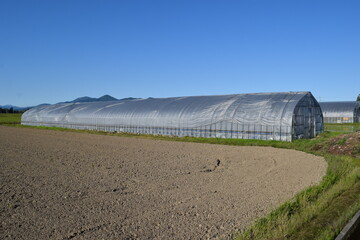 ビニールハウス 温室栽培