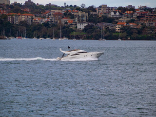 Obraz premium Boat cruiser in sydney harbour australia 
