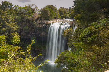 Fototapeta na wymiar Rainbow Falls Paihia - New Zealand 