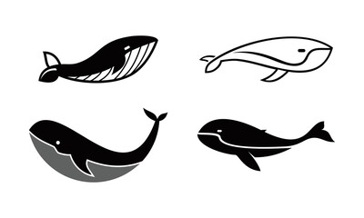 whale vector set illustration