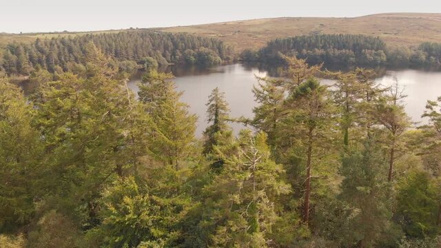 Venford Reservoir, lake surrounded by trees, Dartmoor National Park