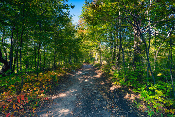 Autumn and fall landscapes in rural Ontario Canada just within the boundaries of Puzzle Lake Provincial Park.  A quiet stroll through the leaves and sunlit hiking trails.   - 379513338