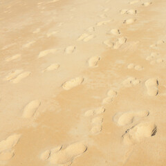 Footprints on the beach