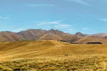 General view of the Alt Pirineu Natural Park, province of Lleida, autonomous community of Catalonia