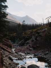Waterton Lakes National Park, Alberta, Canada

