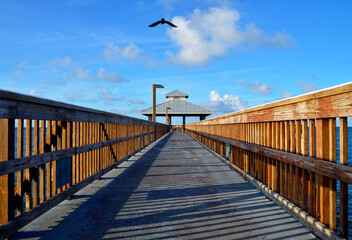 Fort Myers Beach Fishing Pier and Seagull