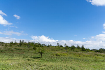  	秋の高ボッチ高原