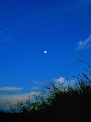 moon and clouds