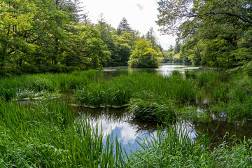 軽井沢雲場池を散策