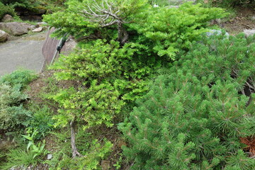 北海道の田舎のグラフィック素材