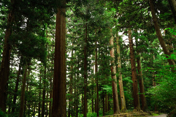 Obraz premium Temple of the guardian deity of Tohoku