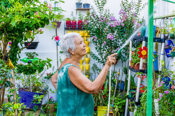 Jardim cuidado por idosa como terapia