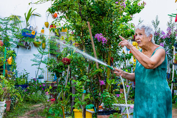 Mulher idosa cuida de molha jardim florido