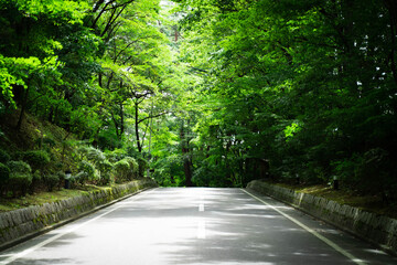 Fototapeta premium Roads and bridges full of nature