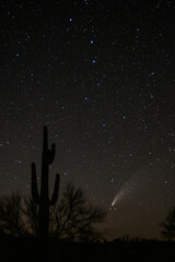 Comet Neowise under the Big Dipper with a Saguaro Cactus