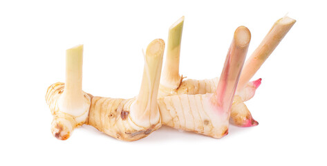 Galangal an isolated on white background