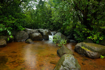 Mountain stream in the monsoons