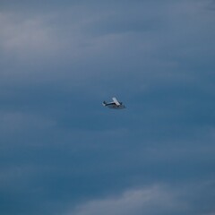 Sea plane flying high above Sydney Harbour Australia
