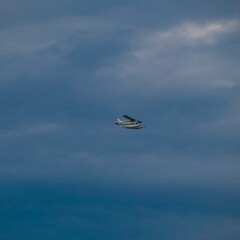 Sea plane flying high above Sydney Harbour Australia