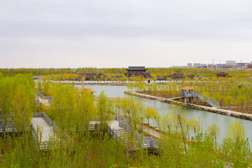 Fototapeta na wymiar Landscape of a Wetland Park in spring in China 