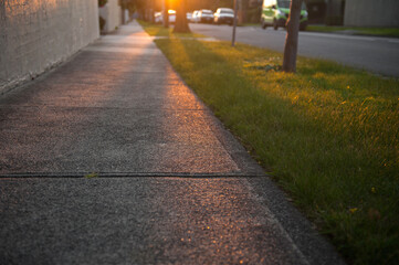 Sunset in the city. Asphalt road along the street. Green lane with grass and trees. Outdoor. 