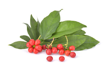 Yanang leaf and Yanang seeds isolated on white background