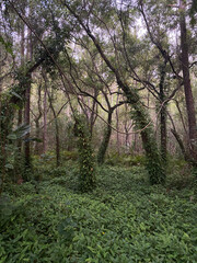 Obraz premium The Lodge At Hidden River