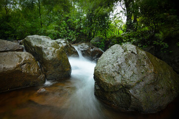 Fototapeta na wymiar A waterfall stream in the monsoons 