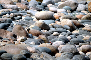 pebbles on the beach