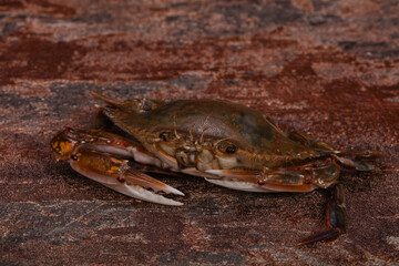 Raw crab - ready for cooking