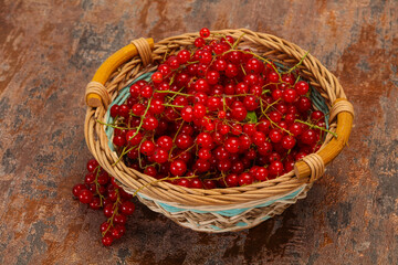 Sweet tasty fresh Red currant