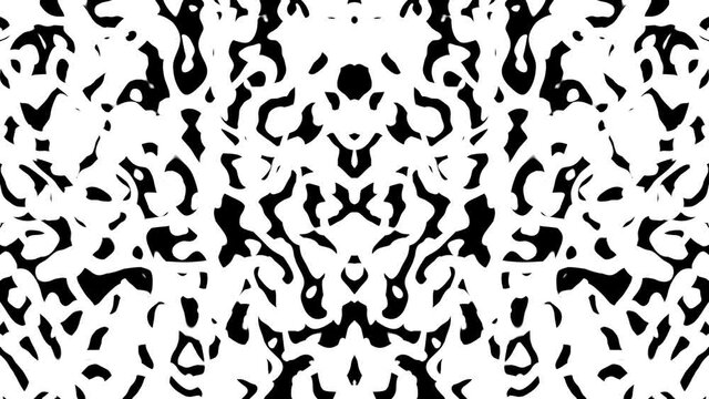 Mirrored Symmetrical Kaleidoscopic Reflection Ink Blot Rorschach Test