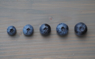 Five blueberries on a gray background

