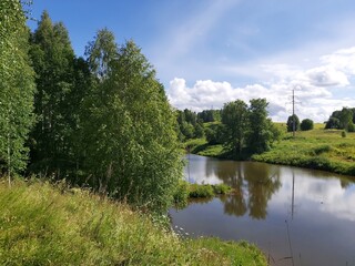 Obraz premium river in the forest