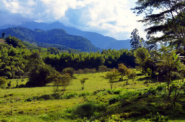 Colombia - Countryside from Pereira to Otún Quimbaya
